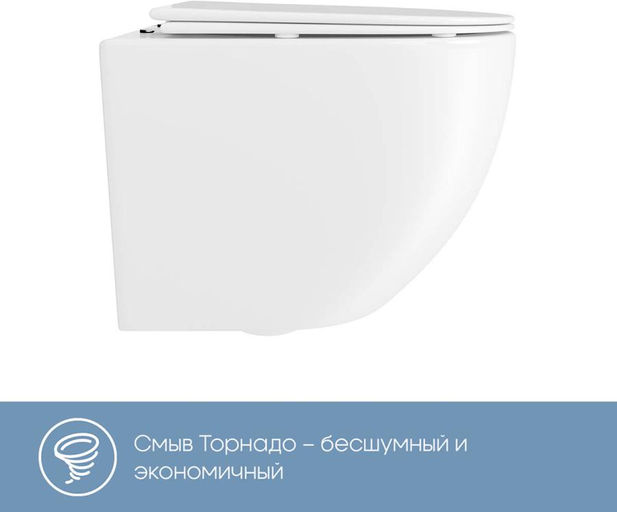 AQUEDUTO OVO Daily Унитаз подвесной 480 x 360 безободковый Tornado сиденье с микролифтом заказать онлайн