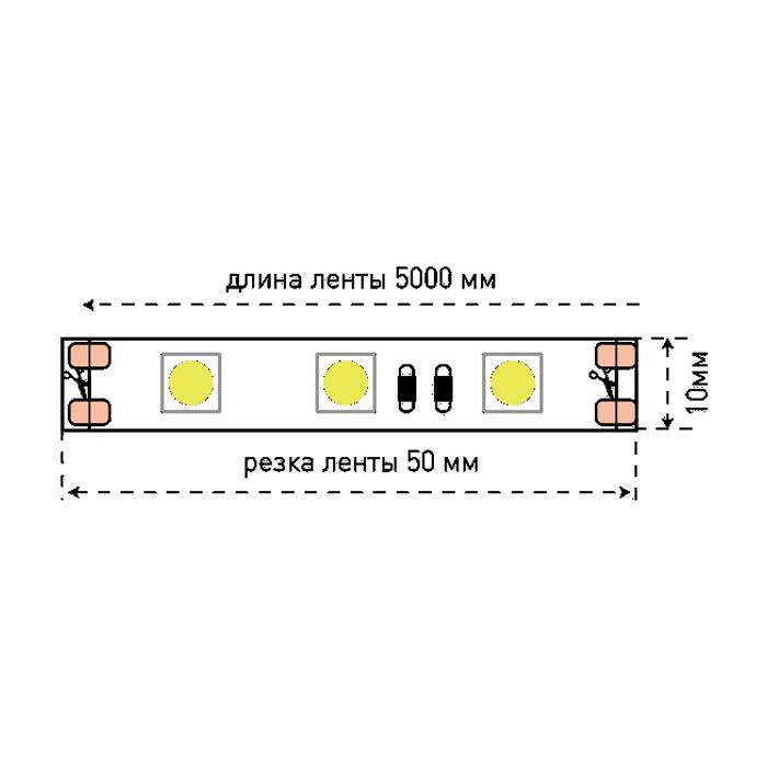 SWG Лента светодиодная SWG ECO-SWG560 001779