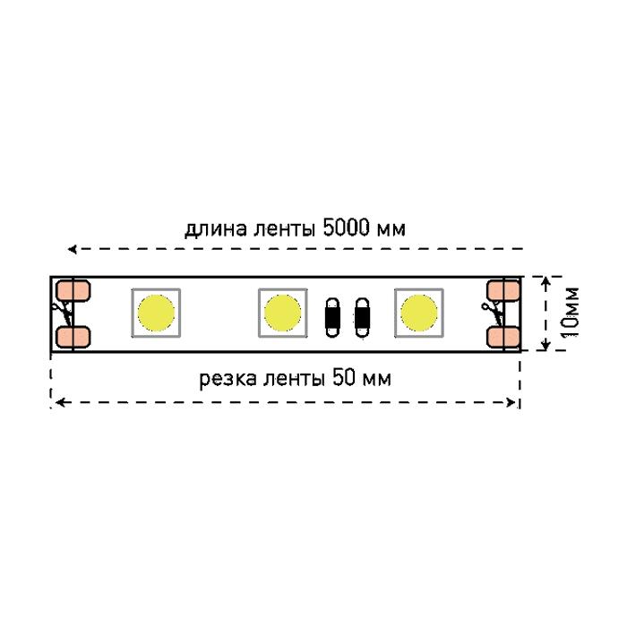 SWG Лента светодиодная SWG ECO-SWG560 002335