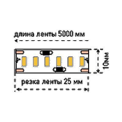 SWG Лента светодиодная SWG SWG4240