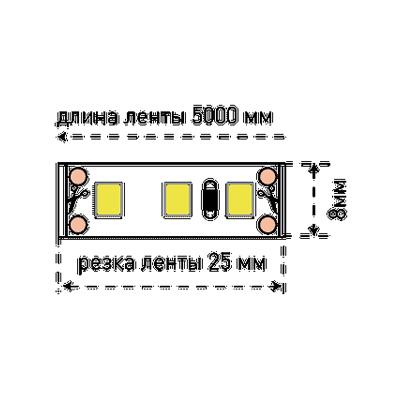 SWG Лента светодиодная SWG SWG3120 заказать онлайн