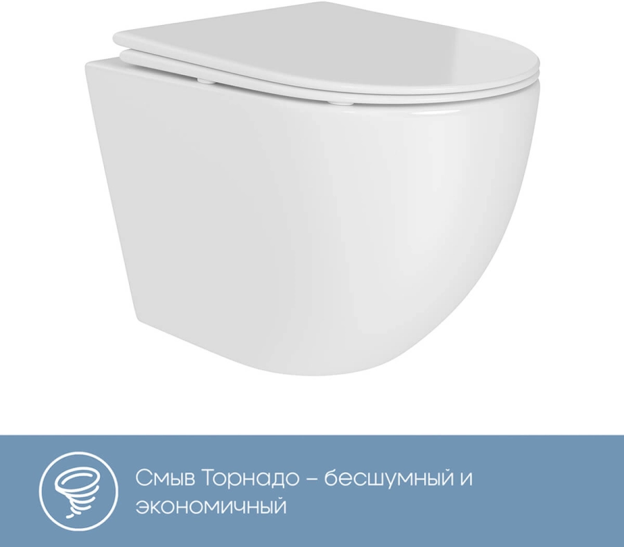 AQUEDUTO OVO Daily Унитаз подвесной 480 x 360 безободковый Tornado сиденье с микролифтом прайс