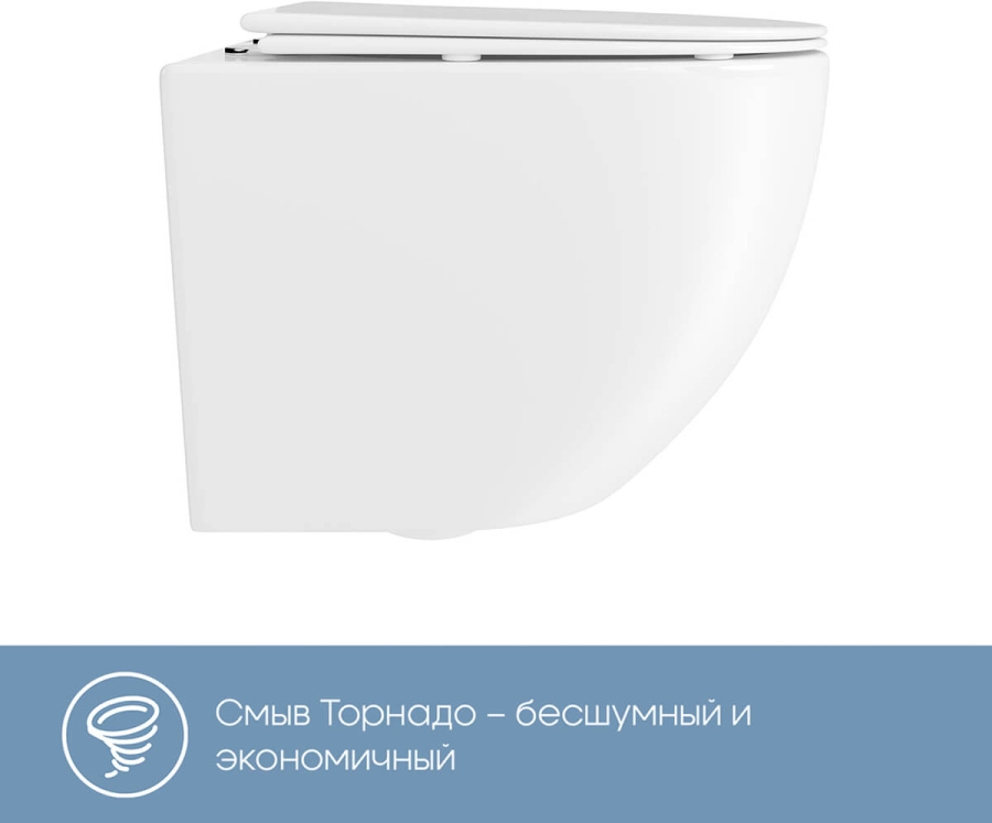 AQUEDUTO OVO Daily Унитаз подвесной 480 x 360 безободковый Tornado сиденье с микролифтом заказать онлайн