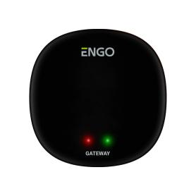 Универсальный интернет шлюз ZigBee для ENGO Smart