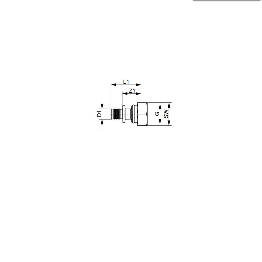TECE  Соединение прямое с внутренней резьбой (накидная гайка, Евроконус), латунь 20,  713620  - Изображение 3