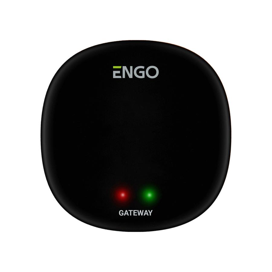 ENGO Универсальный интернет шлюз ZigBee для ENGO Smart EGATEZB