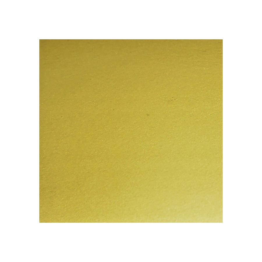 TECE  Гальваническое покрытие панели смыва золото  paint-flush-gold  - Изображение 1