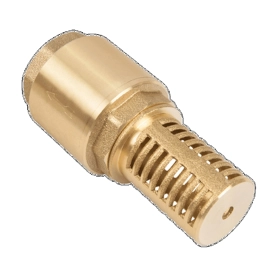 Клапан обратный с сеткой 1' латунная сетка пластиковый толкатель